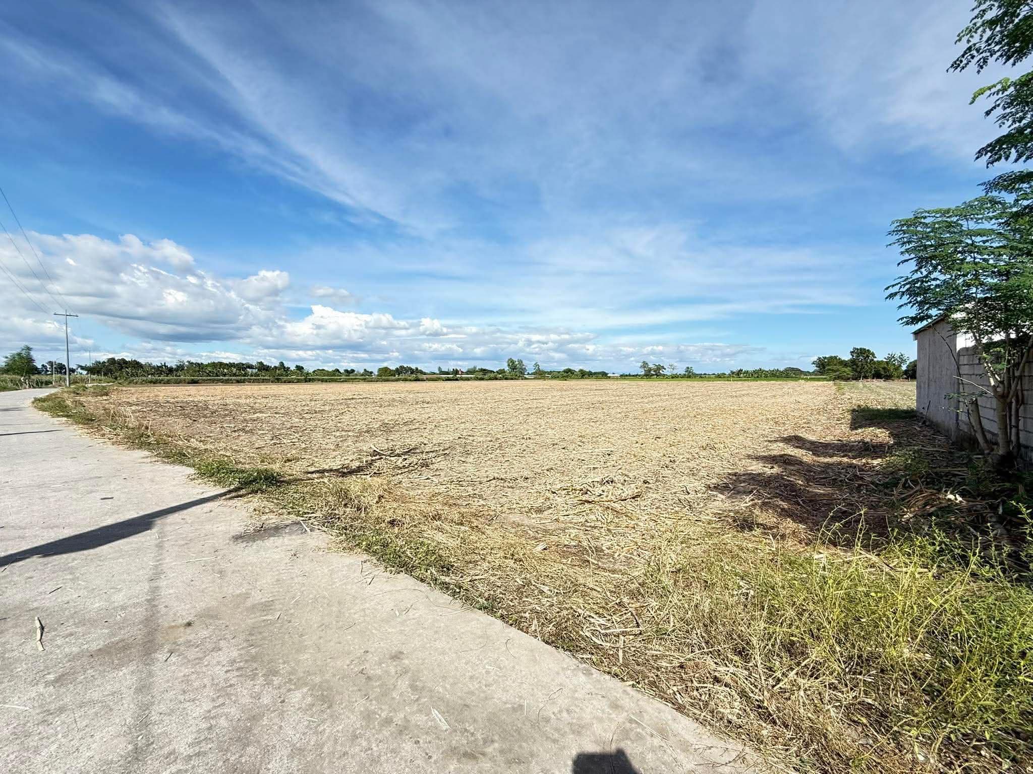 Maluid Victoria, Tarlac-5